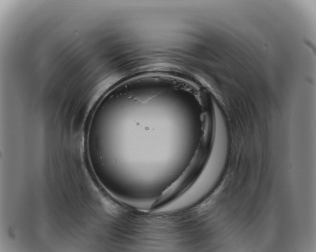 X0000096471418200801311524