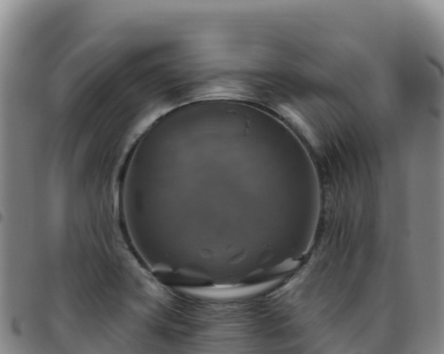X0000096471419200801311524