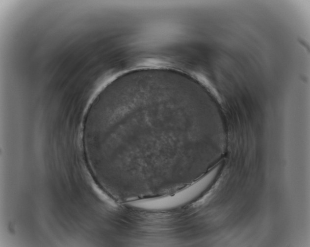 X0000096471421200801311524