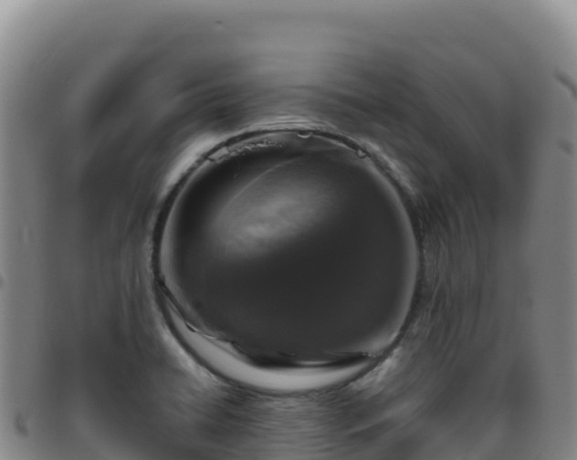 X0000096471422200801311524