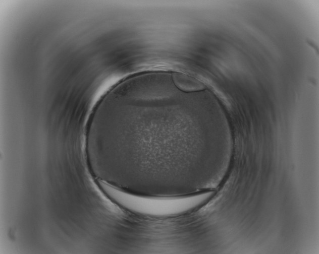X0000096471424200801311524
