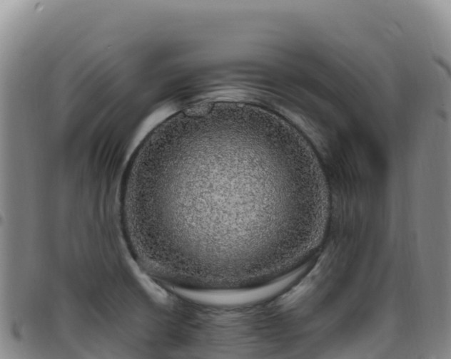 X0000096471426200801311524