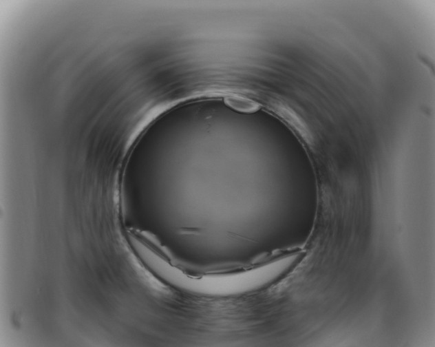 X0000096471428200801311525