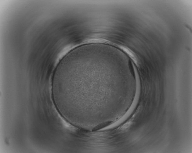 X0000096471430200801311525