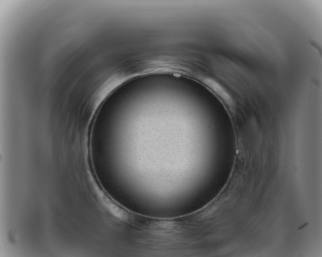 X0000096471431200801311525