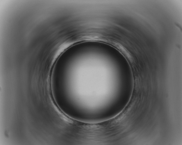 X0000096471432200801311525