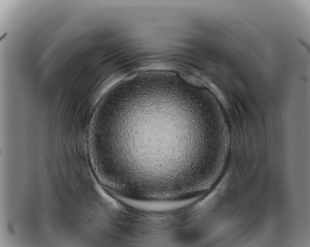 X0000096471433200801311525