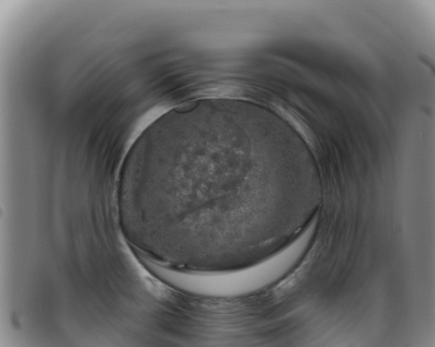 X0000096471434200801311525