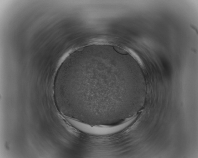 X0000096471435200801311525