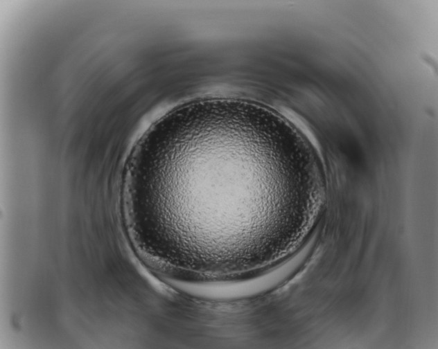X0000096471437200801311525