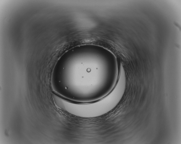 X0000096471441200801311524