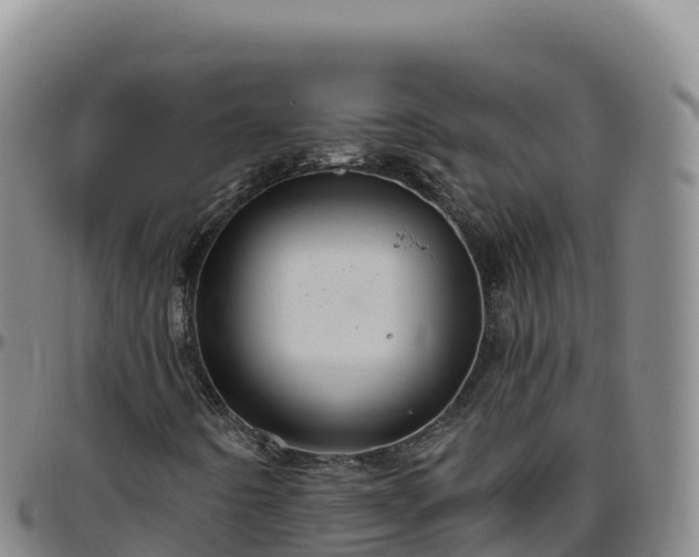X0000096471442200801311524