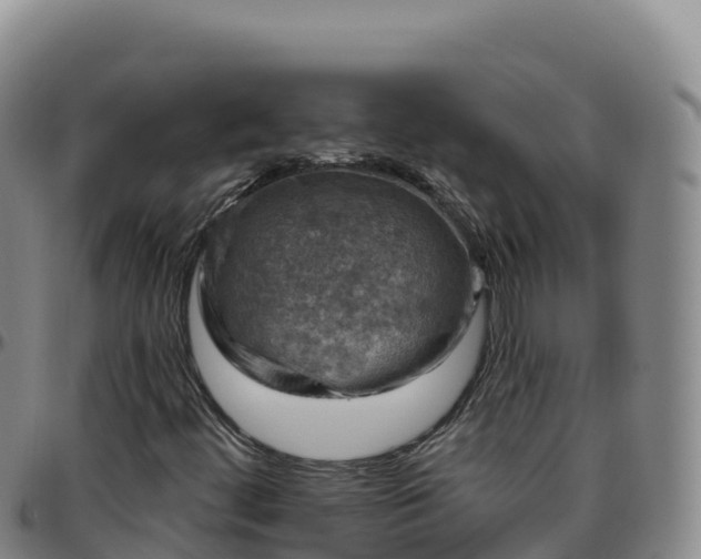 X0000096471444200801311524