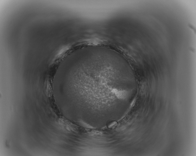 X0000096471446200801311524