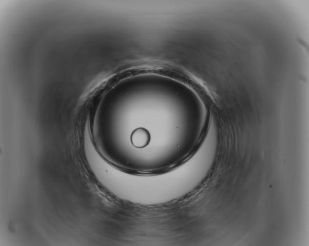 X0000096471448200801311524