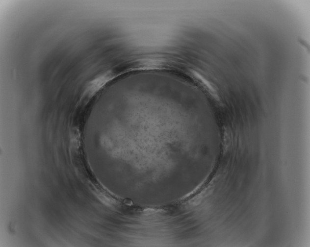 X0000096471449200801311524