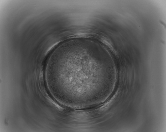 X0000096471450200801311524