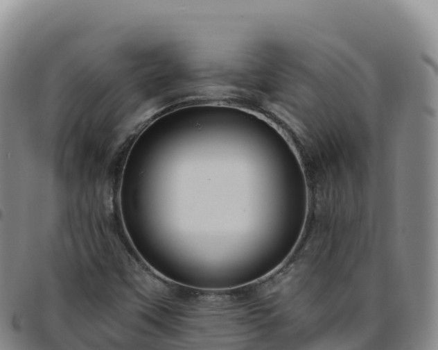 X0000096471451200801311524