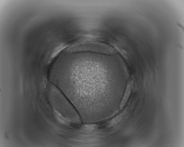 X0000096471453200801311524