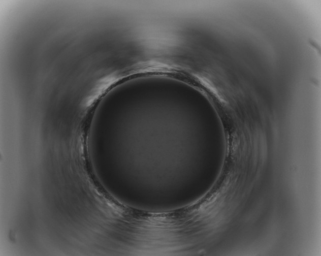 X0000096471455200801311524