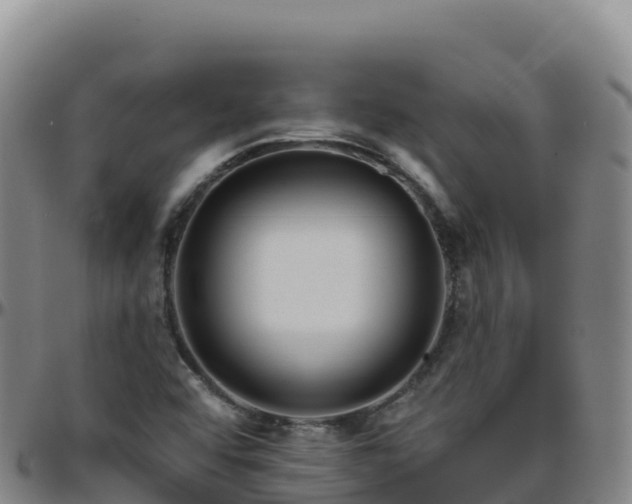 X0000096471456200801311524