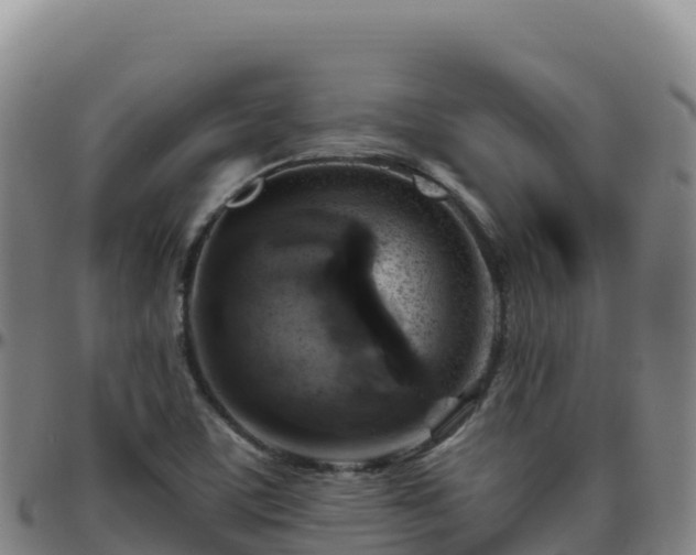 X0000096471459200801311524