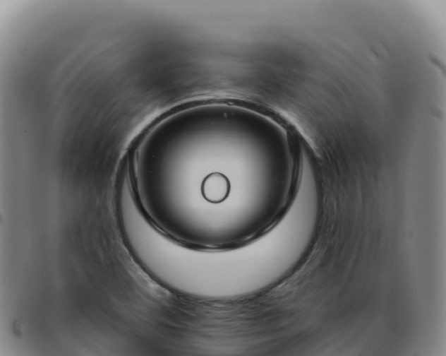 X0000096471460200801311524