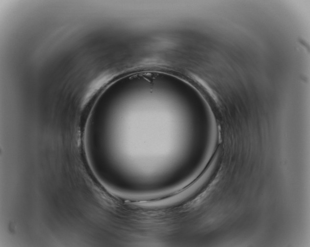 X0000096471461200801311524
