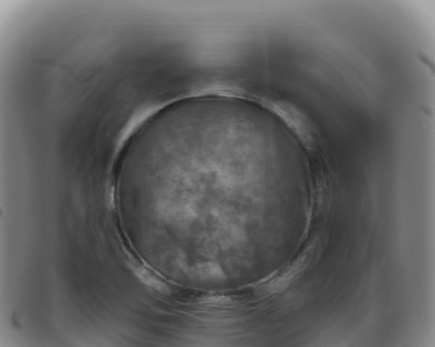 X0000096471462200801311524