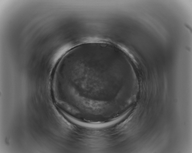 X0000096471463200801311524
