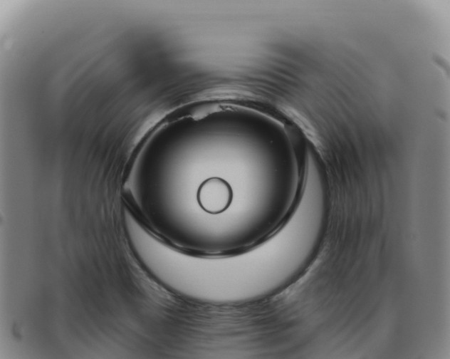 X0000096471465200801311524