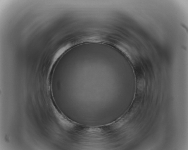 X0000096471466200801311524