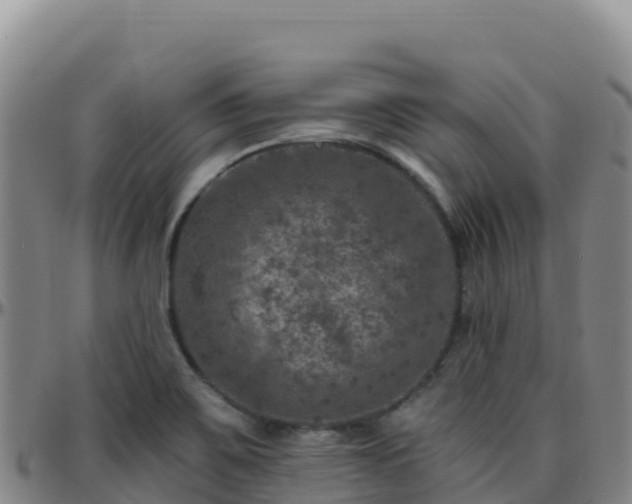 X0000096471467200801311524