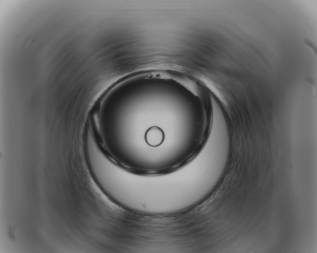X0000096471468200801311524