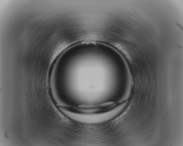 X0000096471469200801311524