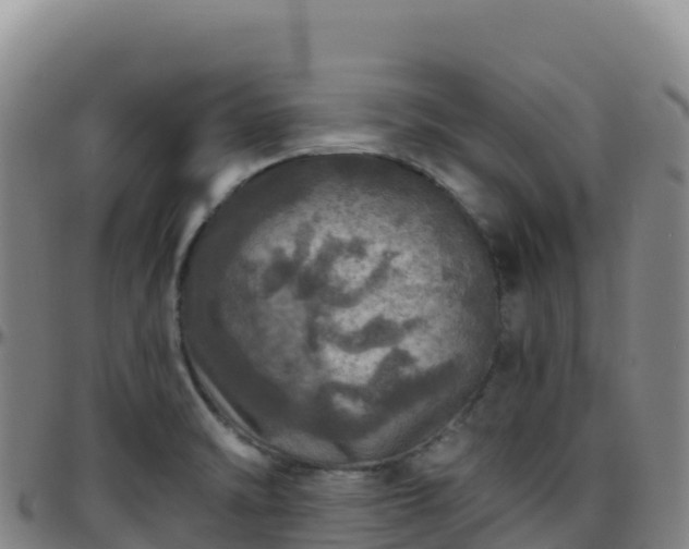 X0000096471470200801311524