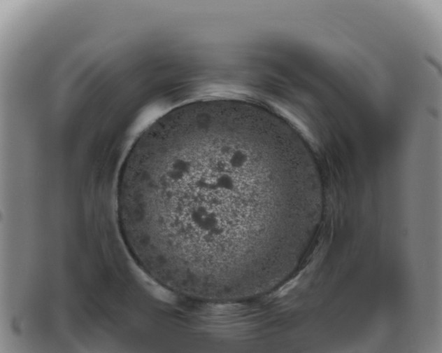 X0000096471471200801311524