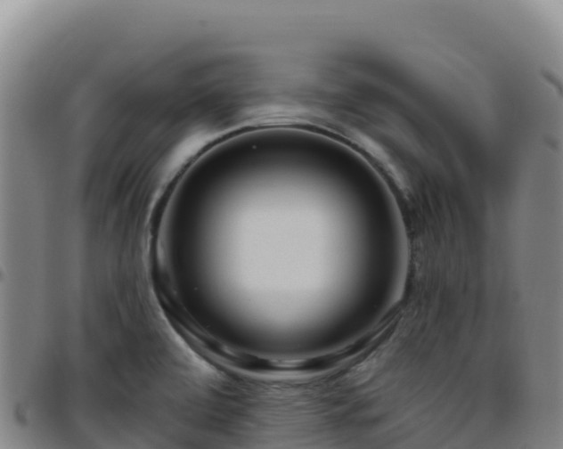 X0000096471472200801311524