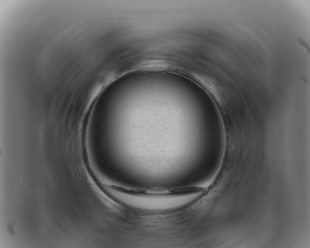 X0000096471475200801311524