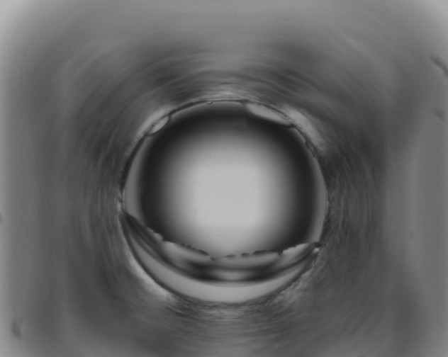 X0000096471476200801311524