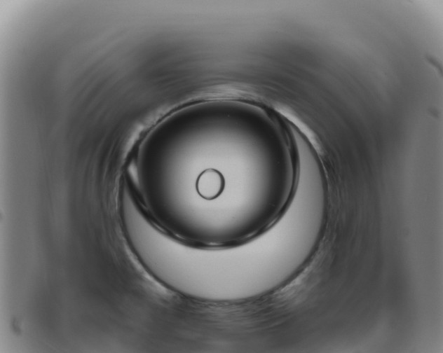 X0000096471477200801311524