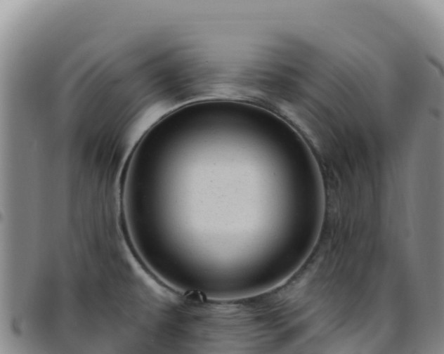 X0000096471479200801311523
