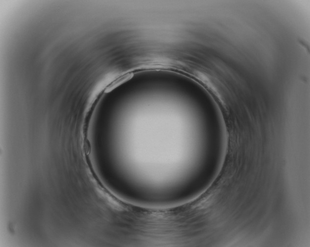 X0000096471480200801311523