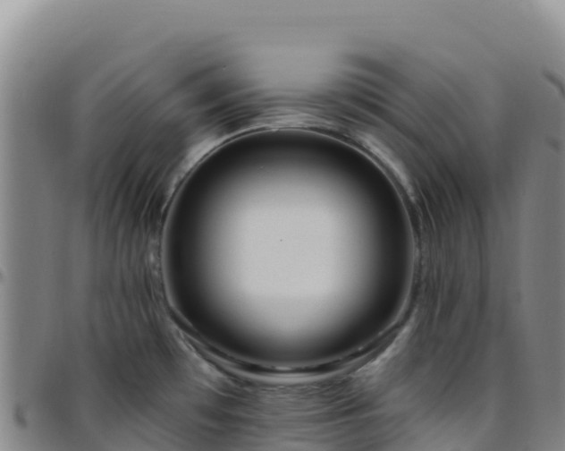 X0000096471481200801311523