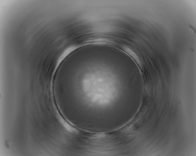 X0000096471482200801311523