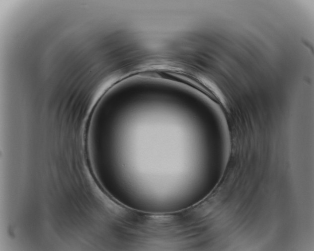 X0000096471483200801311523