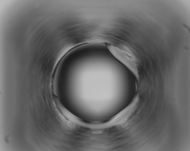 X0000096471484200801311523