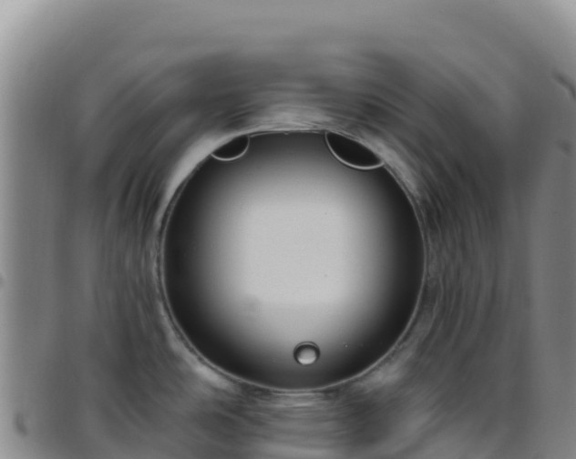 X0000096471486200801311523