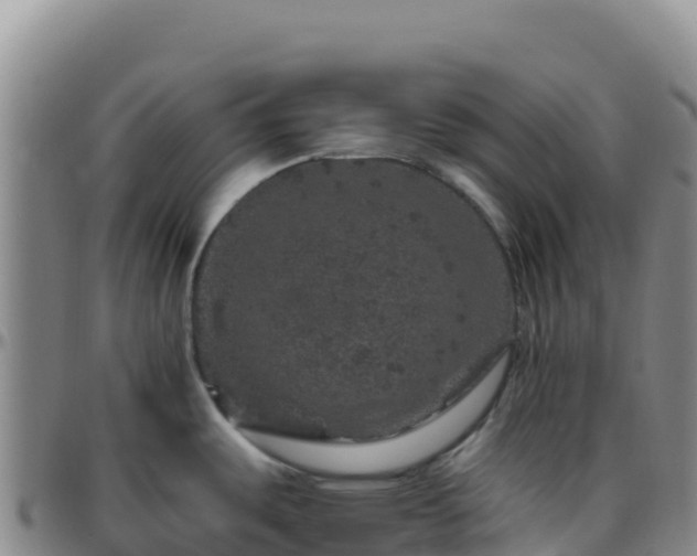 X0000096471487200801311523