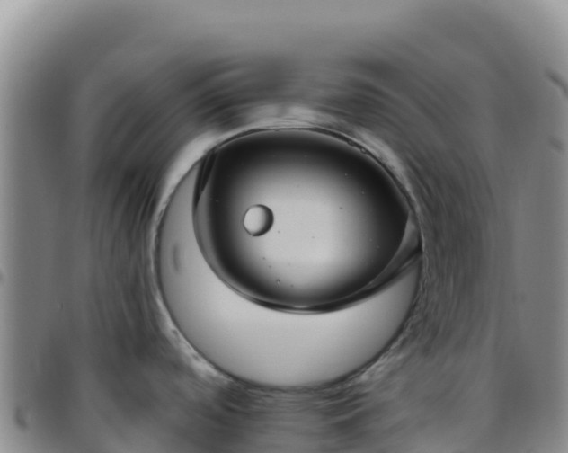 X0000096471488200801311523